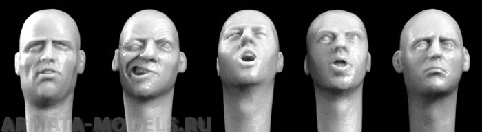 HH25 5 more european heads Hornet