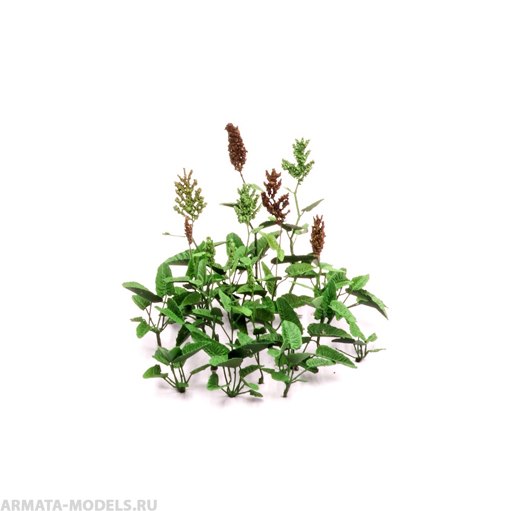 S173MWP Конский щавель, размер M