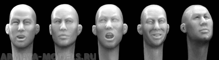HH07 5 different east Asian bald heads Hornet