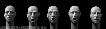 HH30 5 heads, anxious or frightened
